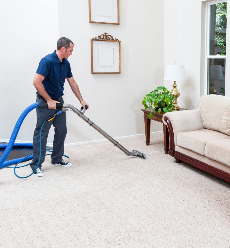 Why SEO Is Important for Carpet Cleaning Companies