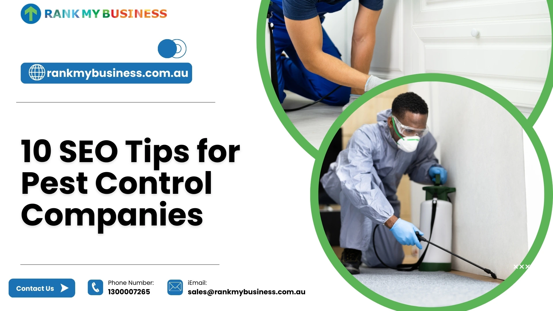SEO Tips for Pest Control Companies